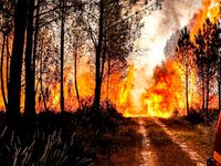 Φωτιές: Τα τελευταία 20 χρόνια διπλασιάσ...