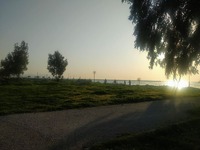 Κορωνοϊός: Νέα δεδομένα για τη σχέση με ...