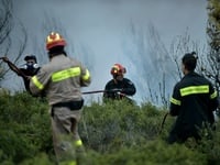 Όαση Αιγείρας: Κινδύνευσε το πευκοδάσος ...