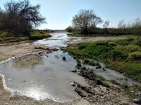 Πάτρα: Αγώνας της ΟΙΚΙΠΑ για να σωθούν τ...