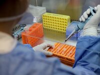 Κορωνοϊός: Νέα ΡΕΚΟΡ με 2.917 κρούσματα,...