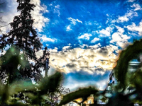 Ποια περιοχή της Δυτικής Ελλάδας είχε το...