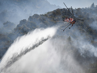 Φωτιά-Εύβοια: Εκκενώνονται προληπτικά τα Μεσοχώρια