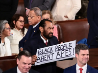 «Οι μαύροι δεν είναι πίθηκοι» - Δημοκρατ...