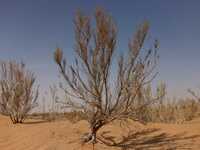 Ρεκόρ θερμότητας τα τελευταία 7 χρόνια– ...