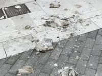 Πάτρα: Πτώση σοβάδων σε κτίριο στην οδό ...