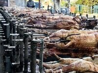 Πάτρα: Σχεδόν 100 σούβλες έστησε κρεοπωλ...