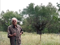 Πάτρα: Αφιέρωμα στον σκηνοθέτη Γιώργο Πα...