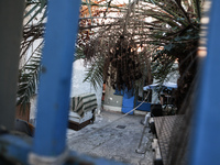 Νίκαια: Στον εισαγγελέα ο 50χρονος που φ...