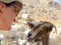 Άλκηστις Πρωτοψάλτη: Η χιουμοριστική ανά...