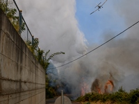 Ηλεία: Σιγοκαίει η φωτιά σε Δούκα και Λά...