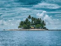 Κλιματική αλλαγή: Οι ορδές των μελλοντικ...