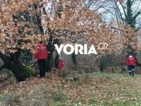 Σέρρες: Σαρώνουν πεδιάδα και βουνό για τ...