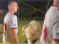 Ο τρόμος του Κώστα Μανωλά στον βρυχηθμό ...