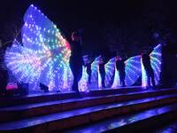 Πάτρα: Τα "έσπασαν" οι ΣΦήγΚΕΣ...