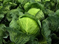 Το αντιφλεγμονώδες λαχανικό που ρίχνει χ...