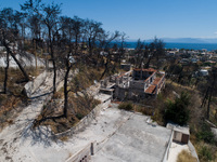 Δίκη- Μάτι: «Θα ήθελα να περιμένω τα παι...