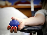 Εθελοντική αιμοδοσία στη μνήμη του Φάνη ...