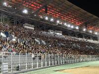 Πάτρα: Οκτώ χιλιάδες θεατές έδωσαν το πα...