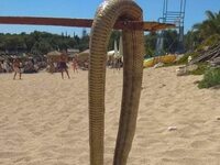 Δυτική Ελλάδα: Μας... έζωσαν τα φίδια! BINTEO