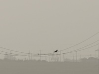 Η ατμοσφαιρική ρύπανση σχετίζεται με θετ...