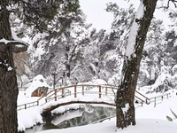 Καιρός σήμερα: Παγωνιά σε όλη τη χώρα με...