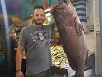 Πάτρα: Μια σφυρίδα 35 κιλών - Ψαρεύτηκε ...