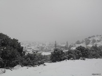 φωτο από cretapost.gr