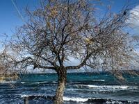 Καιρός: Ανοιξιάτικο διάλειμμα στην καρδι...