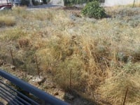 Πάτρα: Δύο υπάλληλοι για ελέγχους σε 8.8...