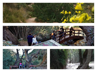 Το "κρυφό" μέρος στην Πάτρα πο...