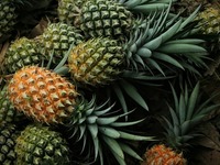 Το αγαπημένο εξωτικό φρούτο με αντιφλεγμ...