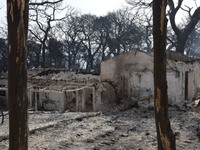 Φωτιά Ζήρια: Πάνω από 3.000 στρέμματα έχ...