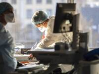 Ευλογιά των πιθήκων: Συναγερμός για ύποπ...