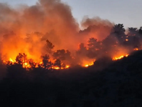 Φωτιά στη Χίο: Δυο προσαγωγές για εμπρησμό