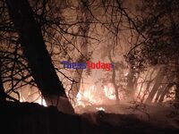 Έβρος: Πύρινη νύχτα στο δάσος της Δαδιάς...