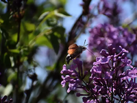 Υψηλές θερμοκρασίες και σήμερα - Πού ανα...