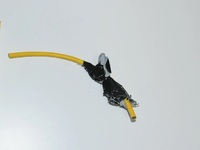 Ληστείες Πάτρα: "Δεν υπάρχουν στοιχ...