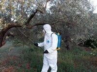 Από τις 4 Οκτωβρίου ξεκινά ο τελευταίος ...