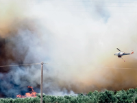 Καιρός: Υψηλές θερμοκρασίες και μποφόρ σ...