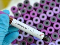 Κορωνοϊός - Μαγιορκίνης: Αύριο Τρίτη περ...