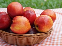 Το ζουμερό φρούτο που βοηθά το αδυνάτισμ...