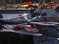 Εισαγγελική έρευνα για την υπόθεση κοπής...