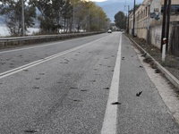 Ναύπλιο: Μυστήριο με εκατοντάδες νεκρά π...