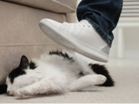 Διαταραχή προσωπικότητας - Έλλειψη τρυφε...