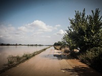 Πάνω από 210.000 στρέμματα κάτω από το ν...