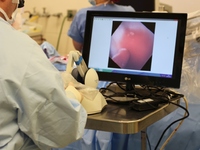 Η Κομισιόν βάζει κανόνες στην Τεχνική Νοημοσύνη 