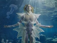 Η βασίλισσα του Πατρινού Καναβαλιού, στο...