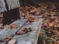 Ποια ζώδια  θα ζοριστούν πολύ τον Νοέμβρ...