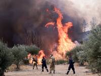 Φωτιά-Ηλεία: Έφτασαν στο δρόμο οι φωτιές...